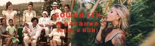 шишки Вяземский